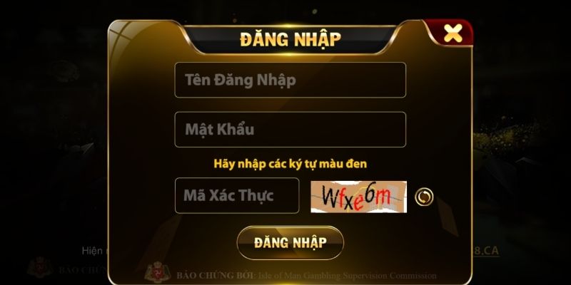 Hỏi đáp thực tế cho người mới