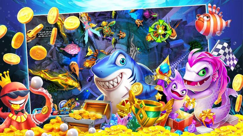 Lưu ý thực tế cho người mới